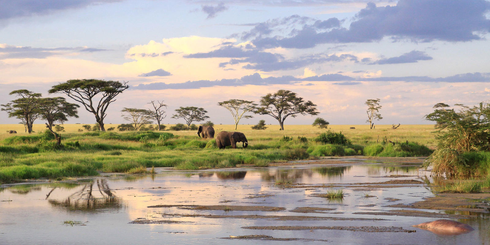 Serengeti National Park