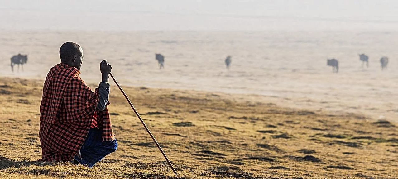 Herding with Maasai Warriors