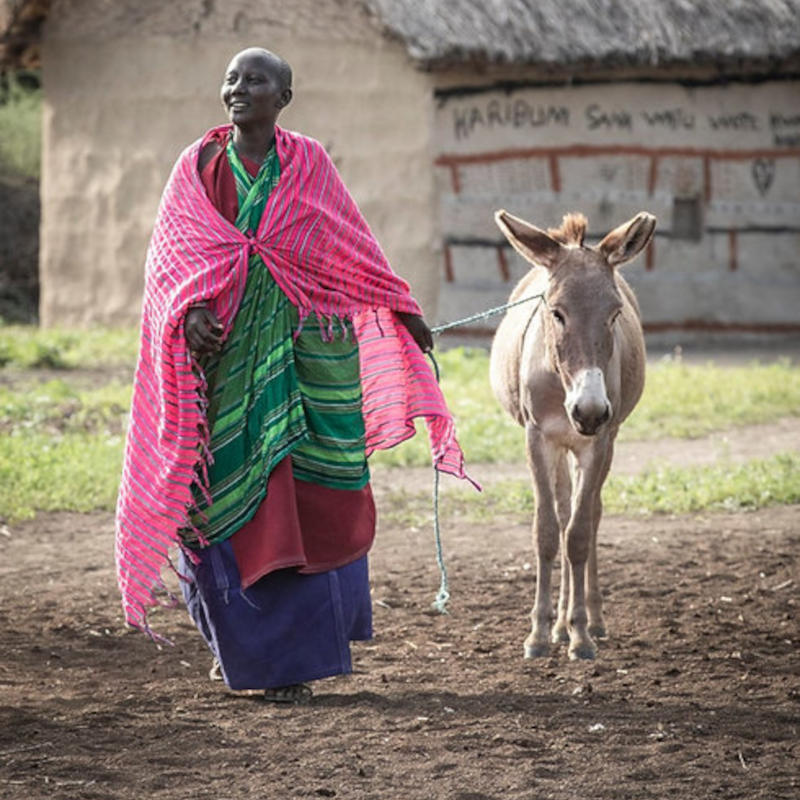 Maasai Village Stay Experience